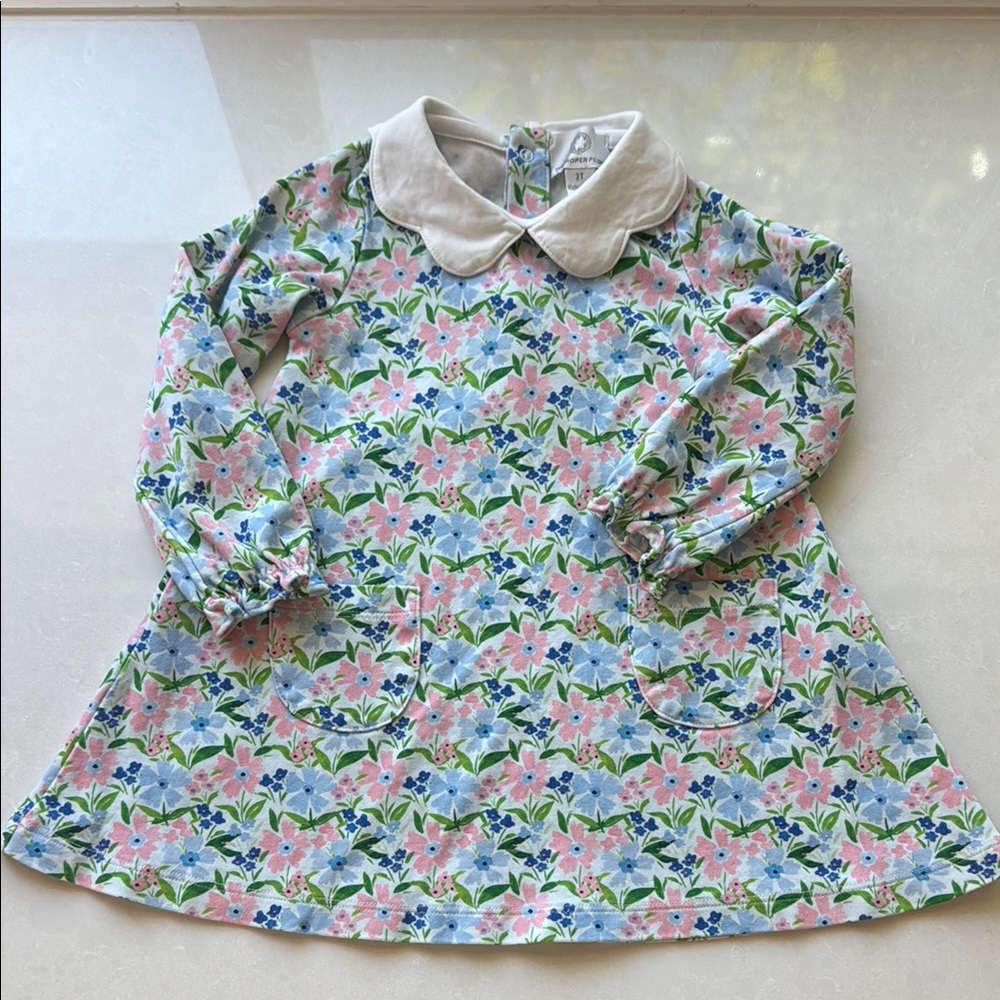 Pink and Blue A-line Dress with Puff Sleeves and Peter Pan Collar